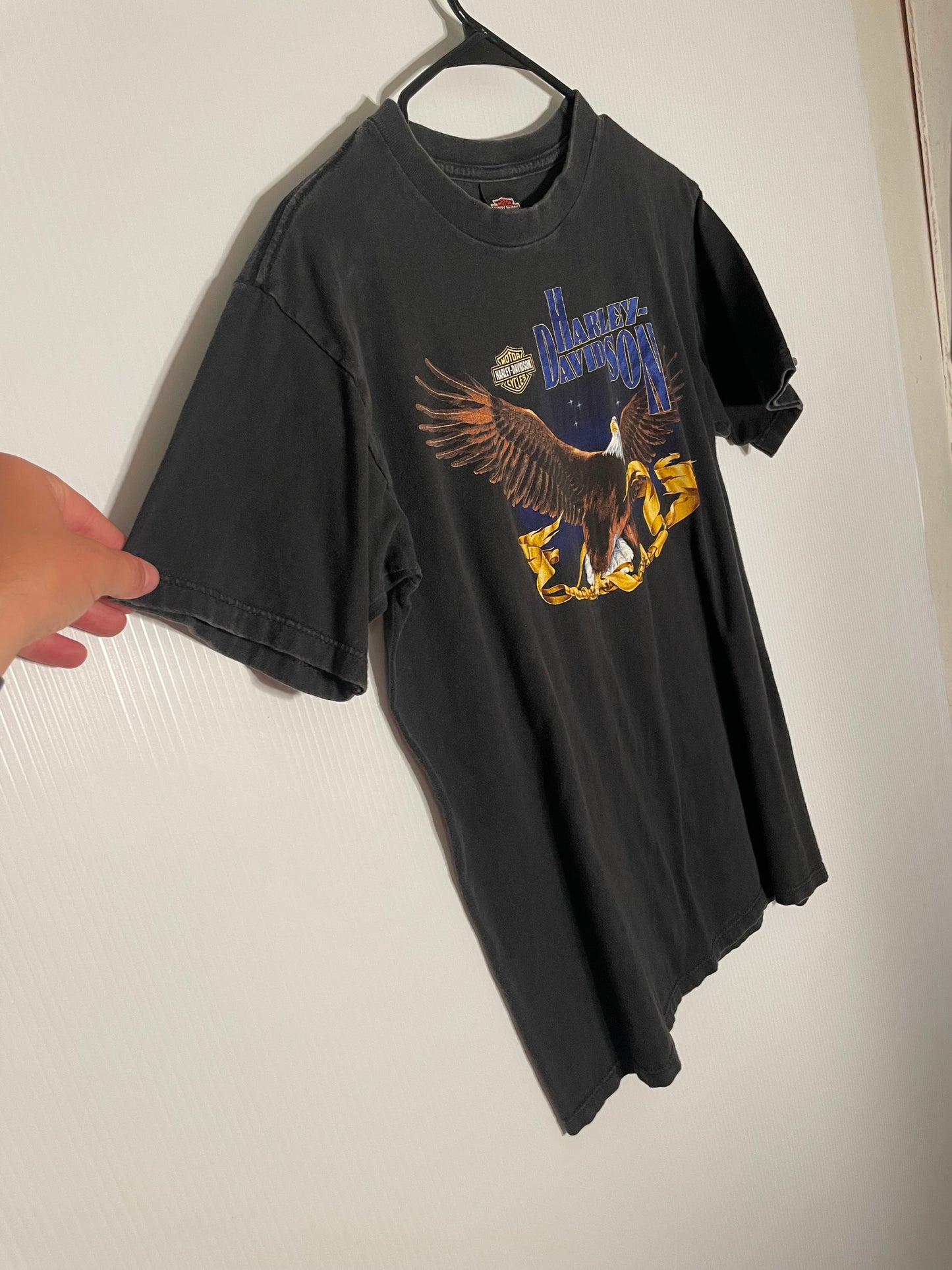 Vintage Harley Davidson Florida Eagle Tee